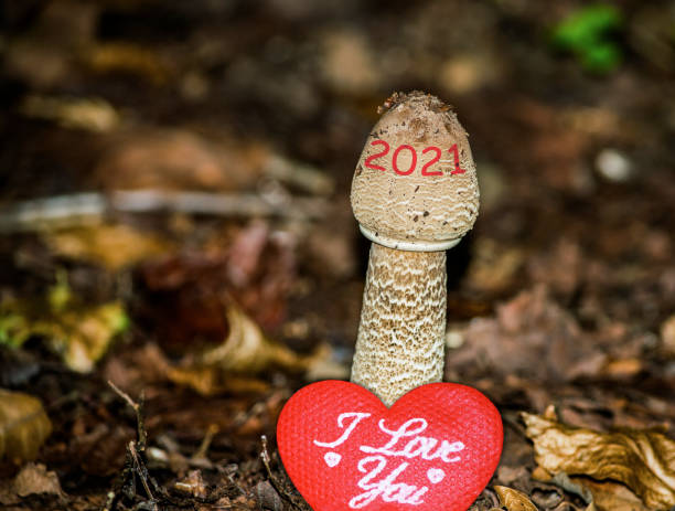 happy new year 2021 photo image clipart télécharger - penis erection mushroom growth photos et images de collection
