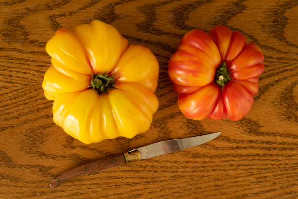 Two monster heirloom tomatoes on a wooden counter with a knife.