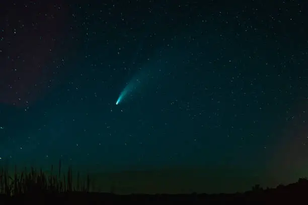 Photo of Neowise Comet