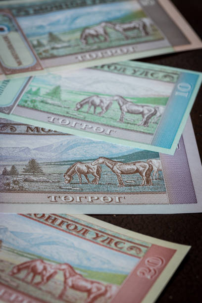 istock Mongolian currency, Tugrik money, Various banknotes 1259151087