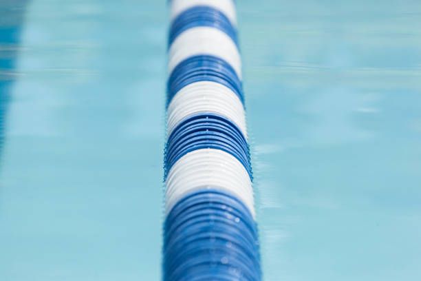 istock Blue and White Lane Line in Swimming Pool 1259151515