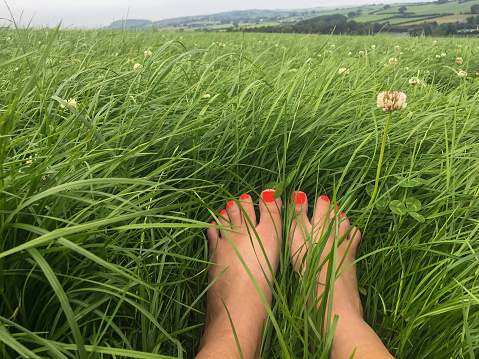 Bare feet with orange toenail polish in meadow in Wales, UK
