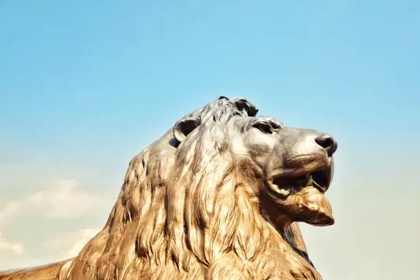 Photo of lion statue at nelson’s column, trafalgar square, london, uk