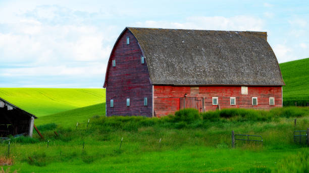 istock Classic red barn with green rolling hills 1259154010