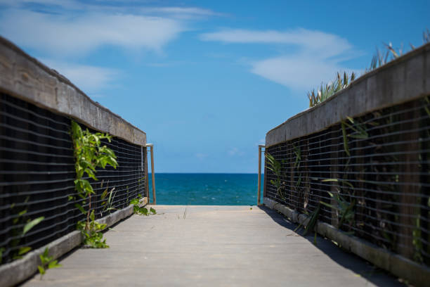 istock Blue skies and a beautiful walkway to the beach 1259157780