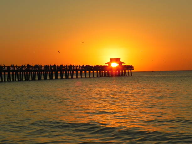 istock Pier in Naples Florida 1259159956