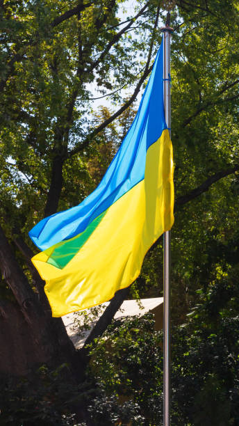 istock Flag of Ukraine 1259160728