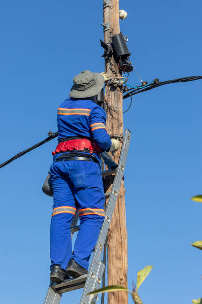 istock Stepladder holding an african American electrician on a pole 1259161804