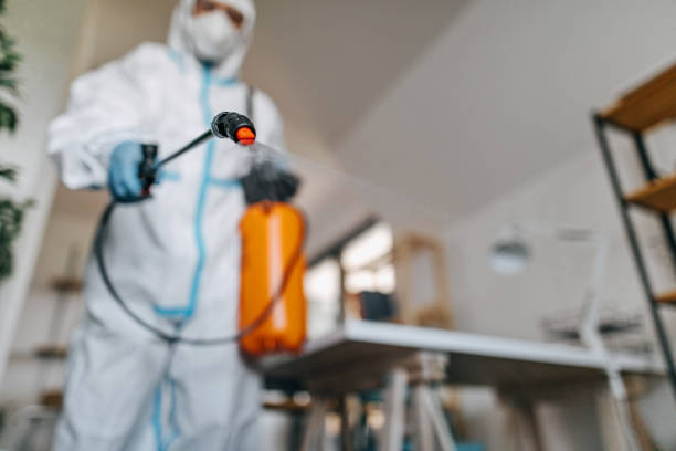 istock Man with protective suit disinfecting offices 1259172344