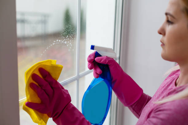 istock young housewife cleaning on white 1259174481