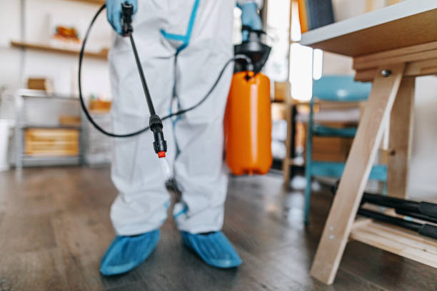 istock Man with protective suit disinfecting offices 1259174998