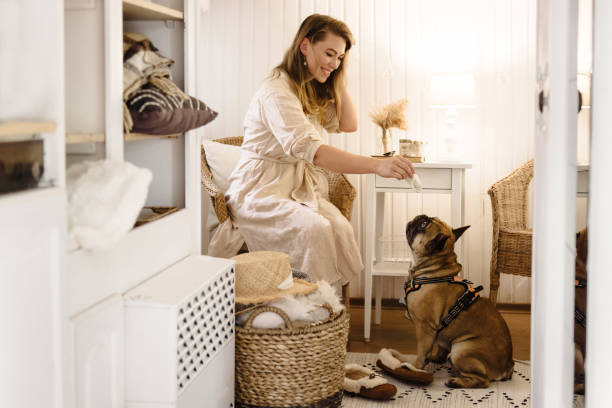 istock Happy woman in trailer playing with dog 1259179822