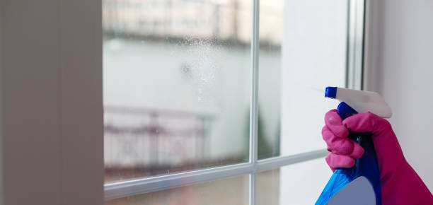 istock Woman cleaning a window with cleaning sprayer. 1259185083