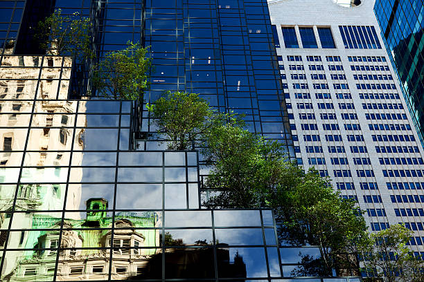 Donald Trump building with growing trees on roof