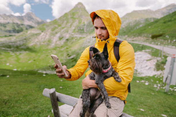 istock man travel with dog using smartphone at countryside with mountains scenic view 1259189270