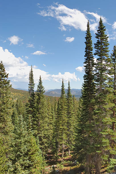 istock Rocky Mountain National Park 125919439