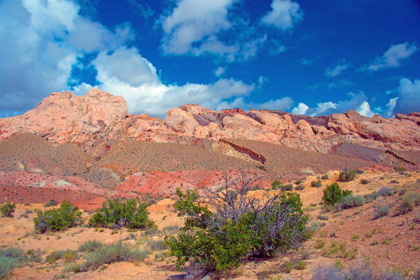 istock Beautiful Colors-Utah- Capital Reef Area 1259206435