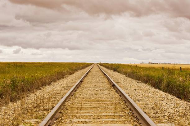 vías de ferrocarril que se encuentran en un horizonte nublado distante - railroad spikes fotografías e imágenes de stock