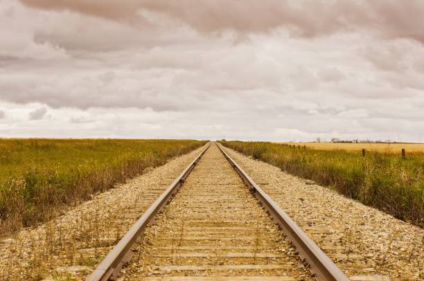 먼 흐린 수평선으로 흐르는 철도 선로 - railroad spikes 뉴스 사진 이미지