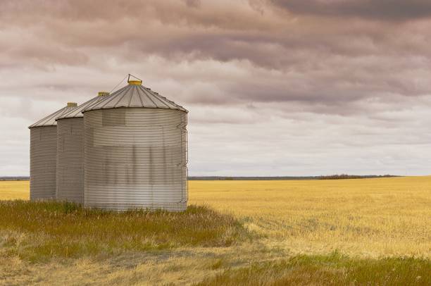istock Grain storage silos sitting on a harvested field 1259227247