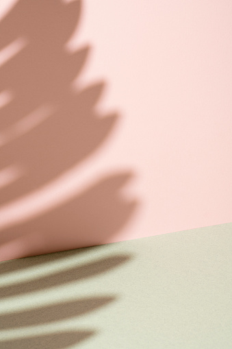 Pink and grey background mockup, template with palm leaf shadow.