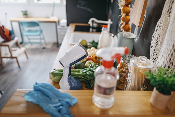 istock Vegetable ingredients with sanitizer spray on kitchen top 1259267250