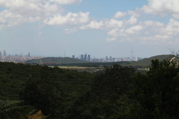 istock Forest view at the front and city view at the back 1259277194