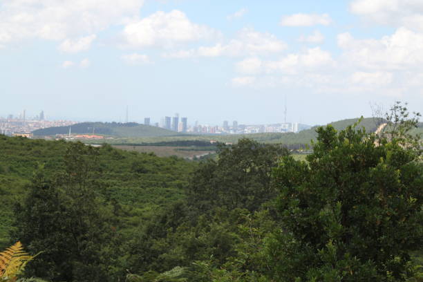 istock Forest view at the front and city view at the back 1259277234