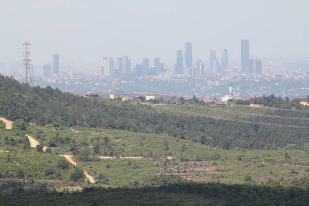 istock Forest view at the front and city view at the back 1259277264