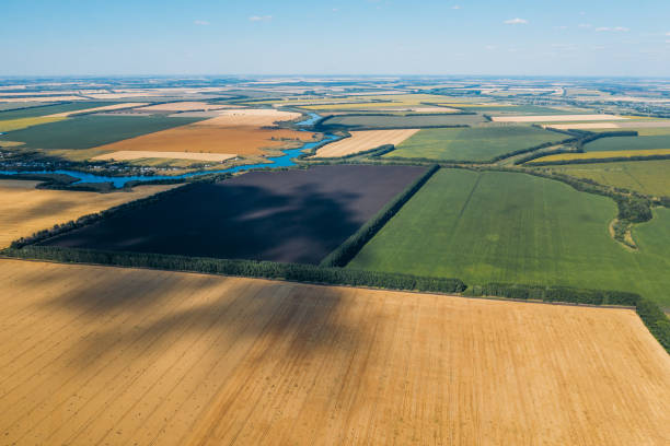 istock Green and yellow harvest fields aerial view, flight above on drone 1259278377