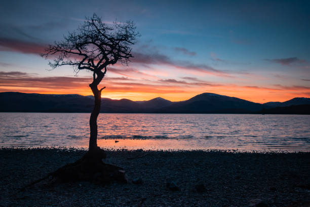 istock Milarrochy Bay, Loch Lomond 1259289732