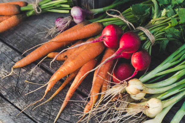istock Fresh vegetables from the garden on a wooden background 1259301882
