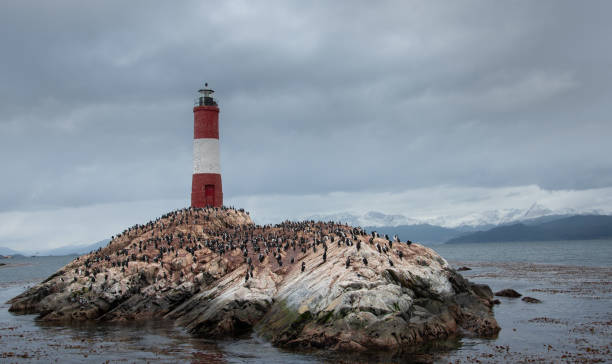 Lighthouse The Ushuaia Pathfinders Lighthouse From Ushuaia, Argentina. Island End of the world. Lighthous Les Eclaireurs. The lighthouse that inspired Jules Verne for his novel. les eclaireurs lighthouse photos stock pictures, royalty-free photos & images
