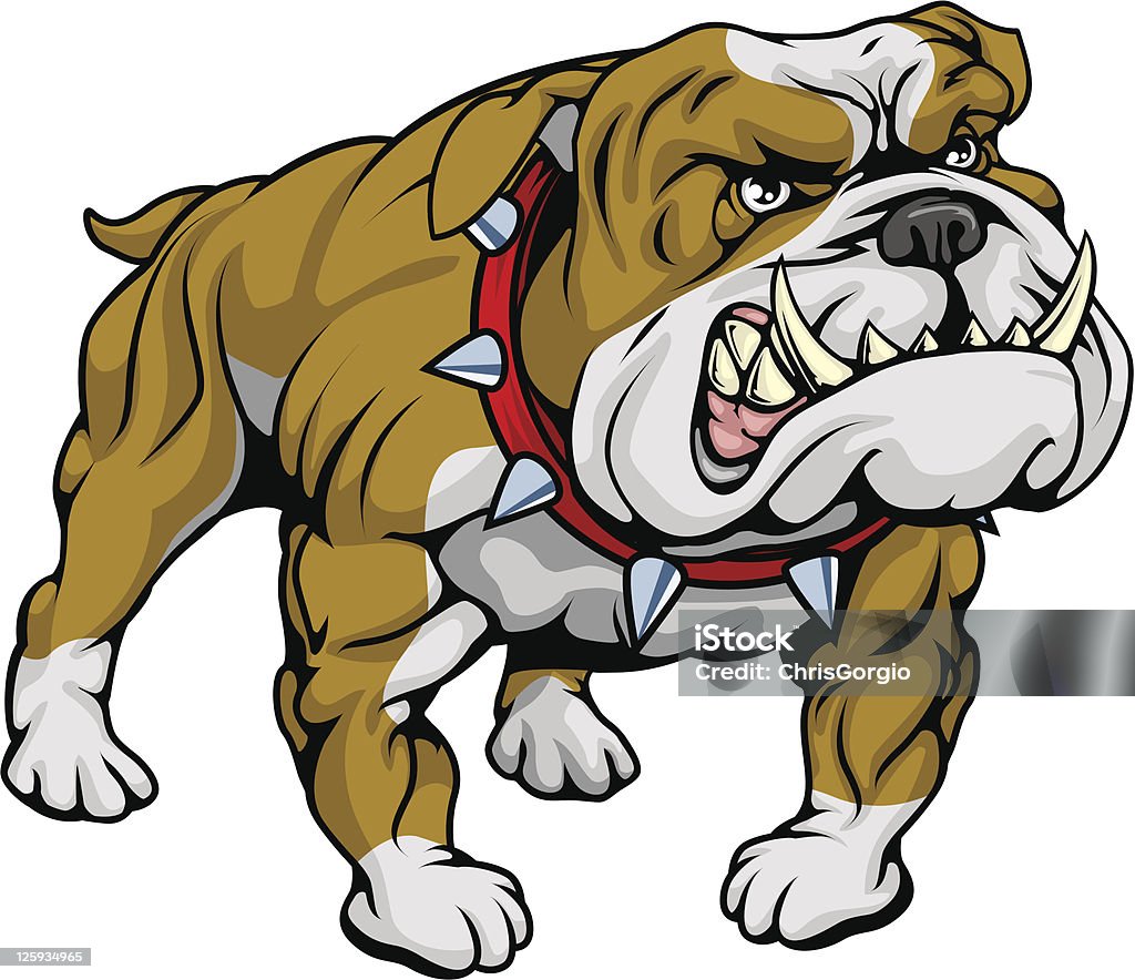 Bulldog clipart illustration A cartoon very hard looking bulldog character. Bulldog stock vector