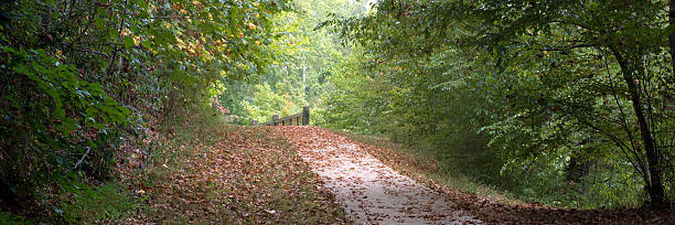 Nature Trail stock photo