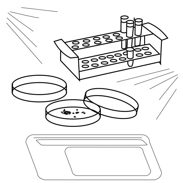 ilustraciones, imágenes clip art, dibujos animados e iconos de stock de ilustración de esquema de un plato de petri y tubos de ensayo, equipos de laboratorio - petri dish bacterium virus laboratory