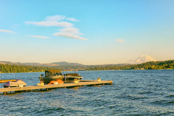 istock Lake Washington in Summer 1259358354