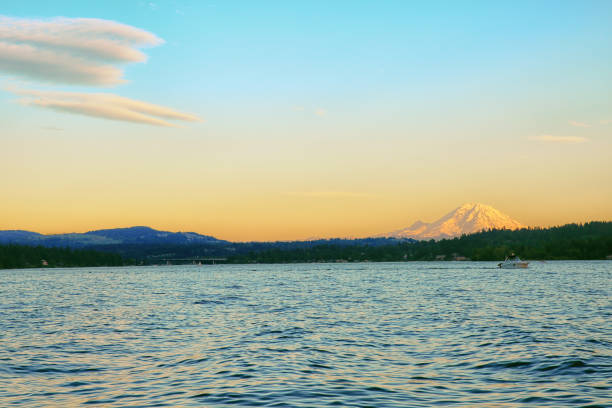 istock Lake Washington in Summer 1259358361