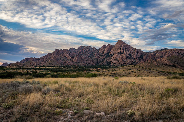 ドラグーン山脈は、歴史的な町トゥームストーンの近く、アリゾナ州コチーゼ郡の山脈です。 - usa scenics landscape rock ストックフォトと画像