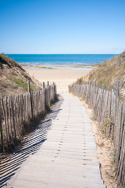 ビーチに続く遊歩道など、イルドレ,france - ile de france 写真 ストックフォトと画像