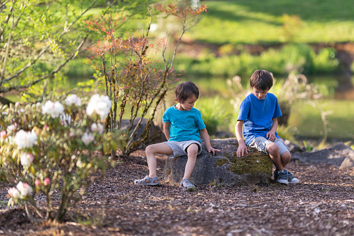 Two ethnic brothers (5 and 9) sit on a large rock in a landscaped parkland area. They're both touching the mossy rock and examining it.