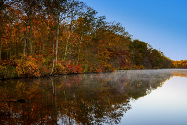 istock Foggy Lake in Autum 1259394062