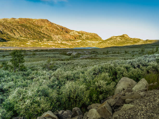 View of the Scandinavian mountains near the Gaustatoppen mountain peak in Norway a veces me golpean a veces estoy roto porque a veces esto no es más que humo ¿hay un secreto? ¿hay un código? ¿podemos mejorarlo? porque estoy perdiendo la esperanza dime cómo estar en este mundo dime cómo respirar y no sientas daño dime cómo c