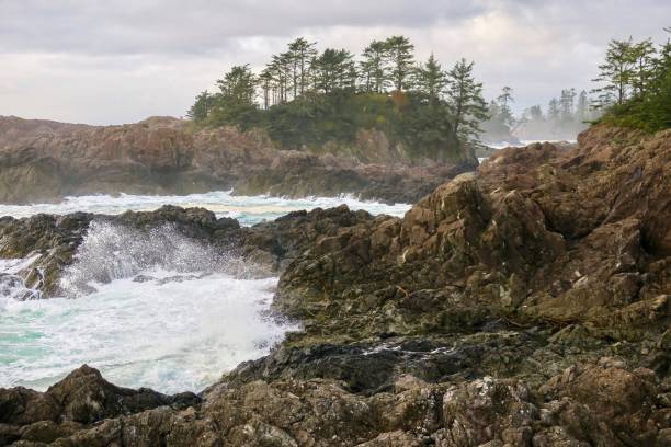 istock The Wild Pacific Shores 1259404843