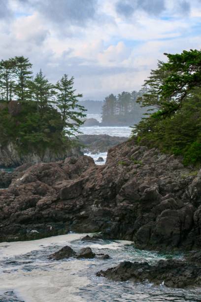 istock The Wild Canadian Coast 1259405347