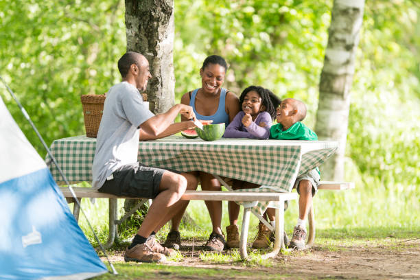 istock African American family on camping trip 1259441966