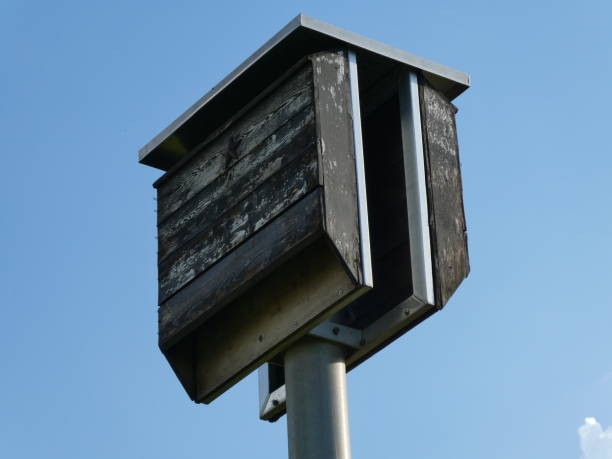 istock Bat house close-up view from ground 1259444743
