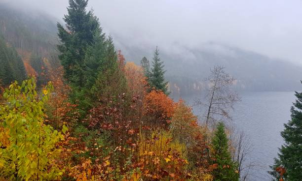 istock Sproat Lake in Autumn 1259452658
