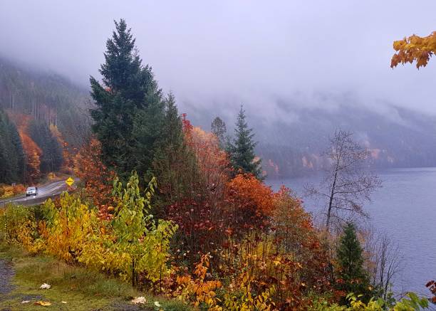 istock Road and Sproat Lake 1259454958