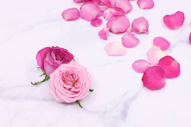 istock colorful rose and various candle 1259474448